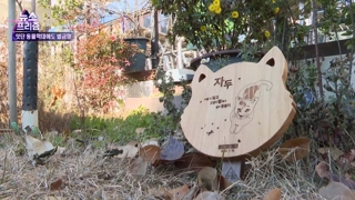 [온라인카지노 벌금 벳엔드프리즘] 끊이지 않는 온라인카지노 벌금 벳엔드학대 범죄…해법은 없나