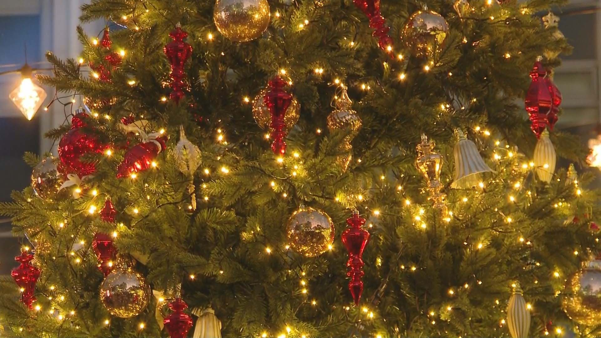 "아기 예수 탄생 축하"…성탄 전야 곳곳 북적