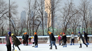 추워도 즐거운 한강…스케이트·철새 관찰 인기