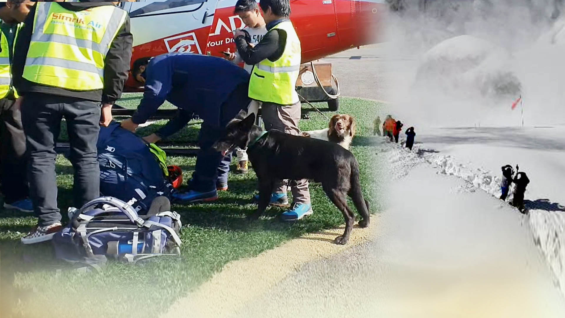 수색견에 성능 좋은 <em class='find'마이다스 온라인카지노 유니벳</em 추가 투입…수색 총력