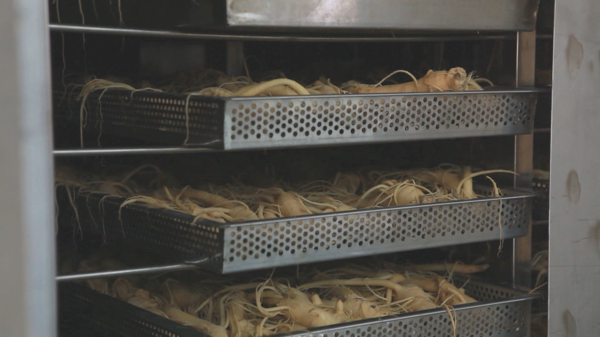 '코로나19 우려' 면역력 높이는 기능성 식품 인기