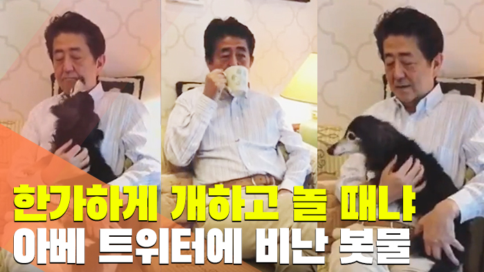 [현장] 한가하게 개하고 <em class='find'놀</em 때인가…아베 트위터에 비난 봇물