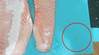[단독] 대형마트서 산 연어에 '고래회충'…날생선 주의