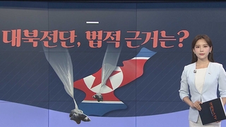 [그래픽 뉴스] 대북전단, 법적 근거는?