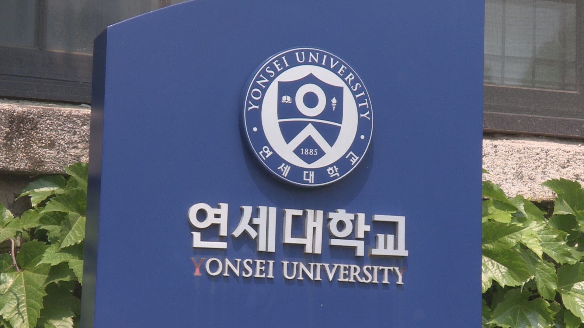 연세대, <em class='find'한국 최고 온라인카지노 추천</em <em class='find'강의</em 실태조사 나서