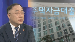 홍남기 "일부 신규 규제지역 대출한도 축소 보완"
