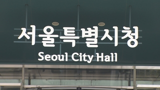 서울시, 조사단 구성 등 놓고 '내우외환'