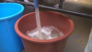 "마실 물도 없어요"…물난리 구례, 이틀째 상수도 공급 안돼