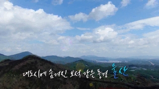 [UHD 다큐 온라인카지노 경찰 벳위즈] 대도시에 숨겨진 보석 같은 온라인카지노 경찰 벳위즈…울산 1편