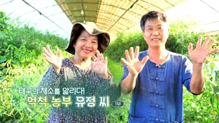 [하모니] 태국의 채소를 알리다! 억척 농부 유정 씨 - 1부