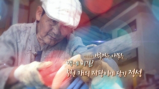 [미니온라인카지노 커뮤니티] 아름다운 사람들 - 116회 :백세 비결 5천 개의 지팡이에 담긴 정성