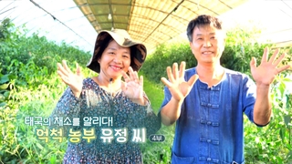 [하모니] 태국의 채소를 알리다! 억척 농부 유정 씨 - 4부