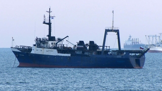 부산항 러시아 선박서 사흘간 16명 무더기 확진