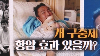개 구충제가 항암 효과?…루머에 판매량만 껑충