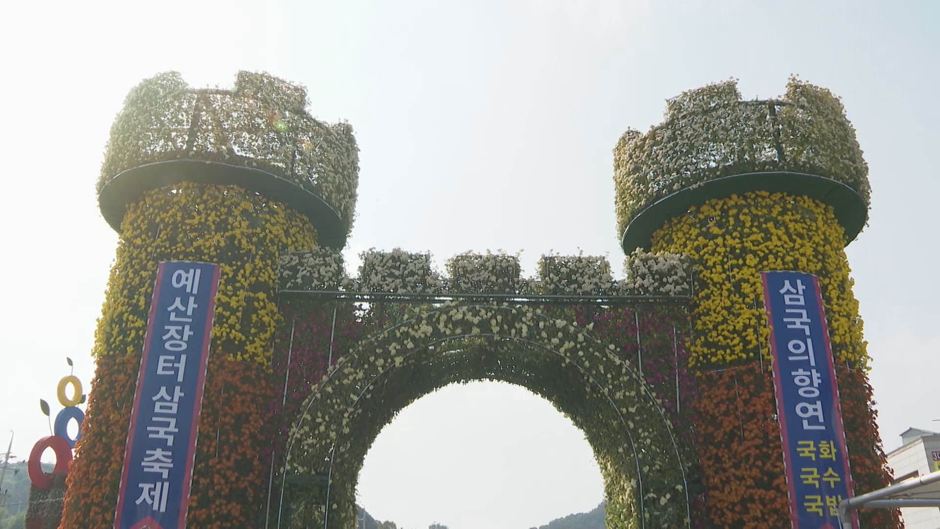 '1만6천송이 국화꽃 향연'…예산 삼국마틴게일배팅