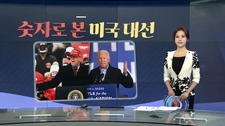 [그래픽뉴스] 숫자로 본 미국 대선