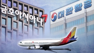 한 회사 되는 대한항공-아시아나…산은 8천억 투자