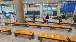 "영국발 변이 바이러스 차단"…연말까지 항공편 중단