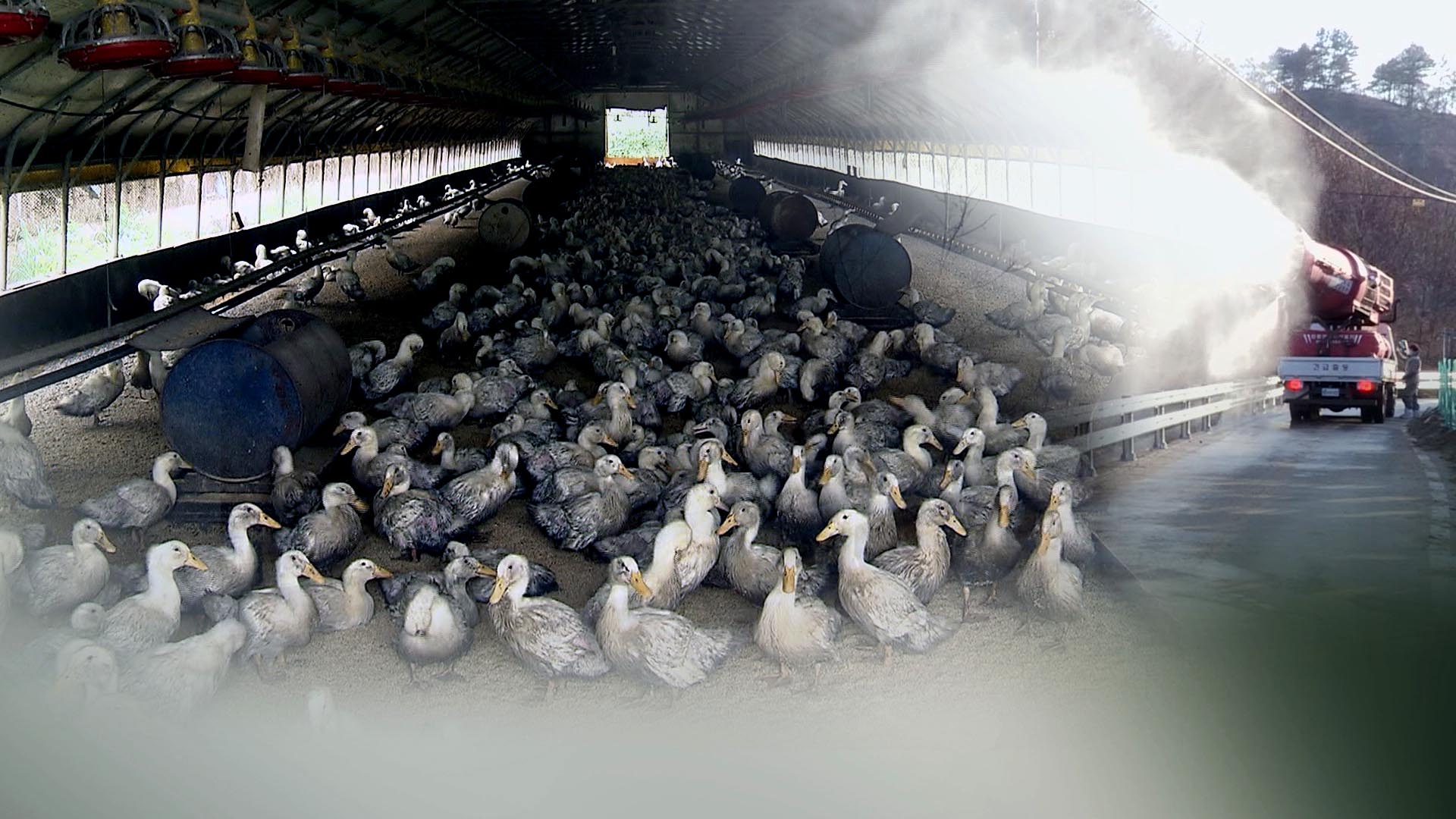 거창 농장 고병원성 AI 의심…경남 <em class='find'샌즈 카지노 사이트</em