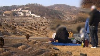 줄어든 성묘객…마스크 쓰고 설날 나들이