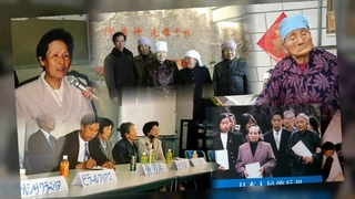 '위안부 승소' 판결에…中피해자 측 "한국 뒤따라야"