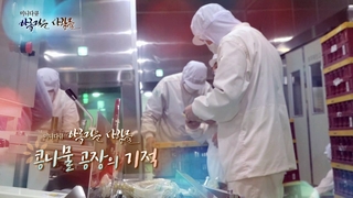 [미니다큐] 아름다운 사람들 - 138회 : 콩나물 공장의 기적