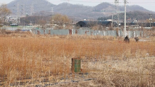LH직원 투기의혹 지역 공사 한창…농지엔 나무