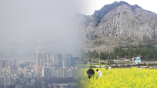 남녘 봄꽃 만발…서쪽 등 모레까지 공기질 나쁨