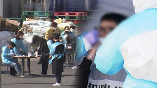 비수도권도 확산세 뚜렷…부산·전주 2단계 격상