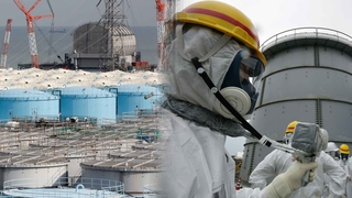 정부·IAEA, 日오염수 조사단에 韓포함 '공감대'