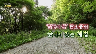 [연합뉴스온라인카지노 산타카지노 스페셜] 184회 : '발등의 <em class='find'불</em' 탄소중립 숲에서 찾은 해법