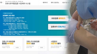 반복되는 예약 먹통 사태…"서버만 늘려 될 일 아냐"