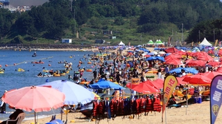 비수도권 500명대 지속…피서지 델타 변이 확산
