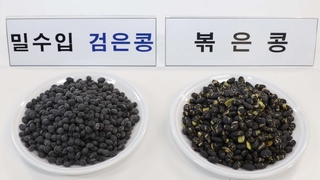 관세율 '487% vs 31%'…검은콩→볶은 콩으로 위장 수입