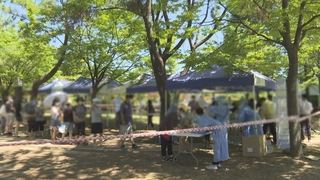 비수도권 연일 최다 기록 경신…"4단계 무용지물"