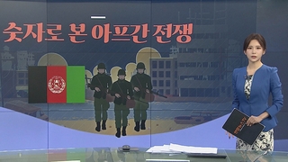 [그래픽뉴스] 숫자로 본 아프간 전쟁