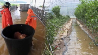 추석 코앞인데…가을장마에 곳곳 폭우 피해 속출