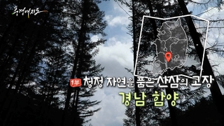 [풍경여지도] 청정 자연을 품은 산삼의 고장 - 경남 함양 1부