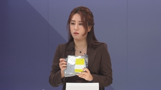 얼굴 드러낸 제보자 조성은…"김웅, 대검에 고발장 접수 당부"