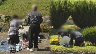 "미리 인사왔어요"…온라인 성묘도 가능