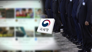 '뒷광고' 유튜버·'전관' 전문직 수십명 세무조사