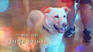 [미니다큐] 아름다운 사람들 - 179회 : 사지 말고 입양하세요