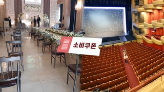 소비쿠폰·할인행사…'손실보상 제외 업종' 매출 지원 검토