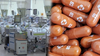 늘어나는 위중증·사망자…"먹는 치료제는 내년 2월부터"