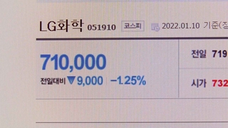 LG에너지솔루션 계기로 표적된 '물적 분할'…규제 시작?