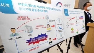대출은 아빠가 쇼핑은 '엄카'로…227명 세무조사