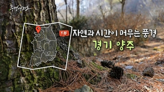 [풍경여지도] 자연과 시간이 머무는 풍경 - 경기 양주 1부