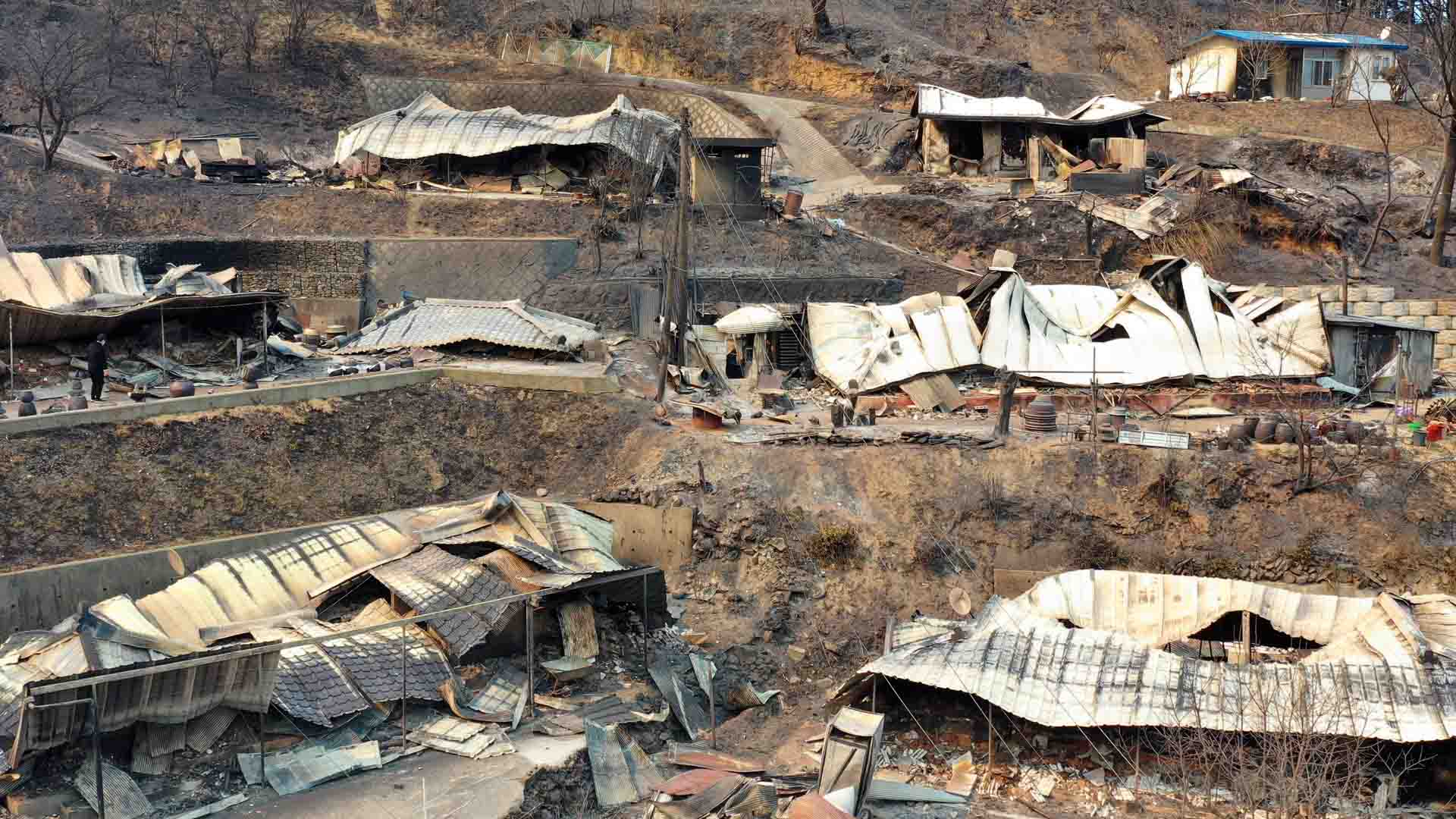 [핫클릭] 울진 산불 현장서 빈집털이 시도한 40대 여성 外