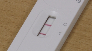 사용 급증 '자가진단키트'…목에 해야 정확하다?
