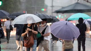 본격 장마 시작…가뭄에 반갑기는 하지만 걱정도